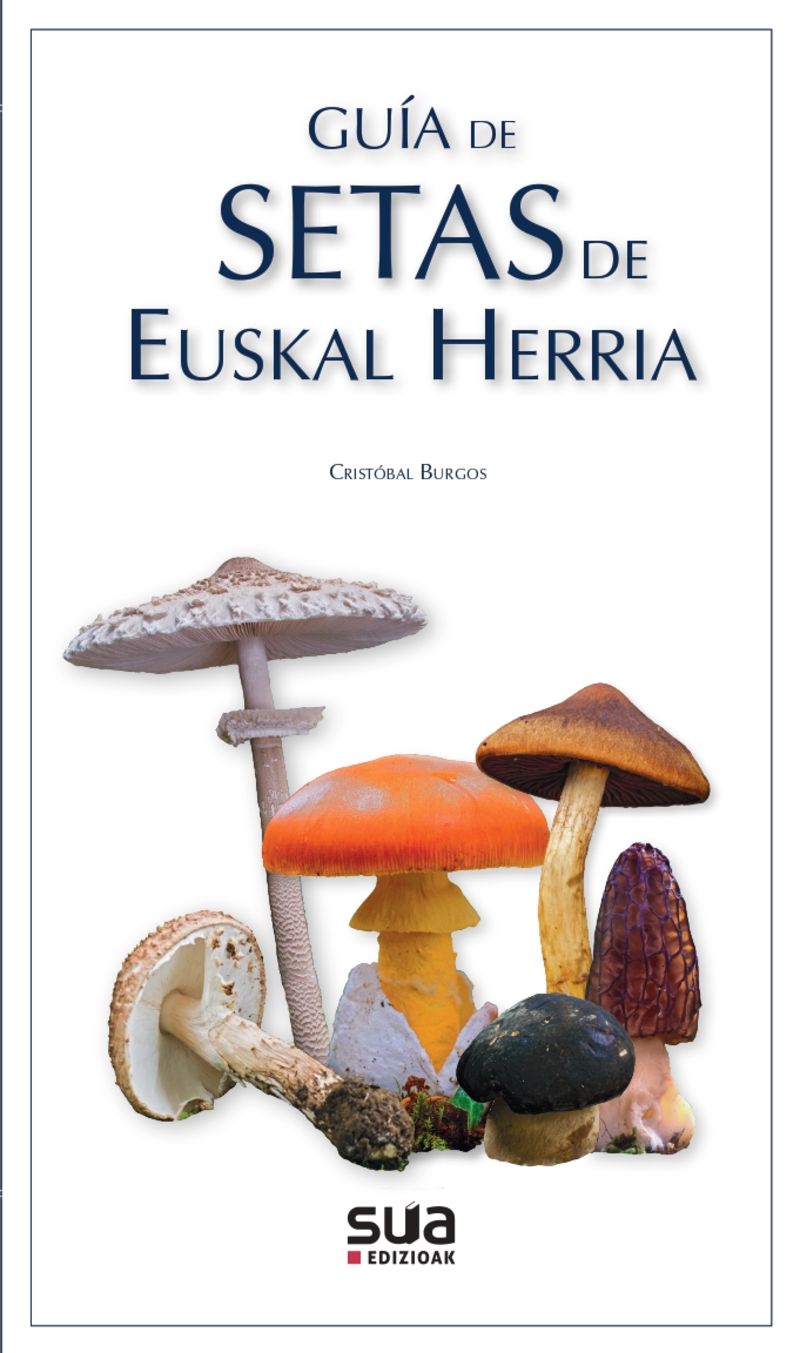 GUÍA DE SETAS DE EUSKAL HERRIA - CRISTÓBAL BURGOS